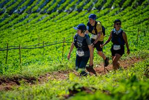 BIB: 0352
                            <button type="button" onclick="openModal(19162530)" class="btn btn-primary btn-sm float-right btn-popup" data-toggle="modal" data-target=".modal-high-quality">
                        <i class="fas fa-shopping-cart"></i> Add to Cart
                    </button>
                                            <button type="button" onclick="isThisMe(19162530, true)" class="btn btn-success btn-sm float-right btn-popup btn-isme hidden" data-toggle="tooltip" data-placement="bottom" title="นี่คือรูปของคุณใช่ไหม คลิกที่นี่เพื่อเอาเข้าอัลบั้ม">
                        <i class="fas fa-plus"></i> Add to album
                    </button>
                    <button type="button" onclick="isThisMe(19162530, false)" class="btn btn-warning btn-sm float-right btn-popup btn-isnotme hidden">
                        <i class="fas fa-ban"></i> Remove from album
                    </button>